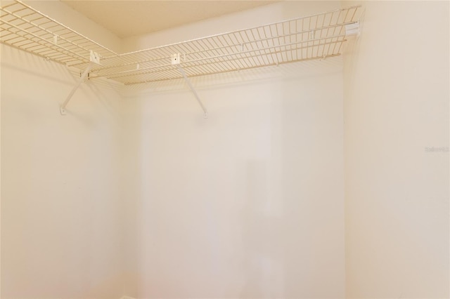 210 Cypress Ct Unit 122, Oldsmar, FL 34677 - view of spacious closet