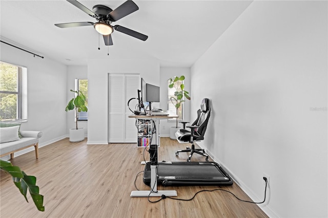 3041 Waterfall Dr, Spring Hill, FL 34608 - workout room with a ceiling fan, light wood-type flooring, plenty of natural light, and baseboards