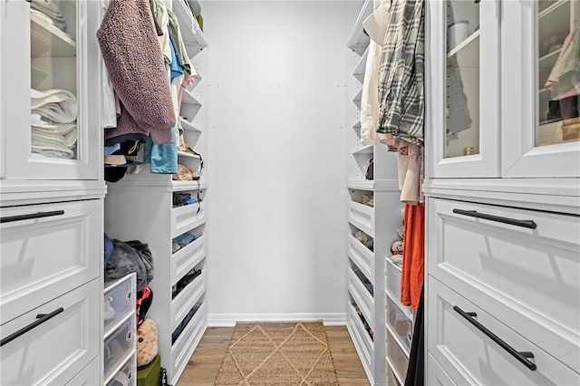 3041 Waterfall Dr, Spring Hill, FL 34608 - spacious closet featuring light wood-style floors