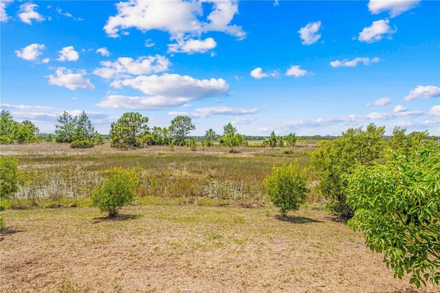 3041 Waterfall Dr, Spring Hill, FL 34608 - view of yard