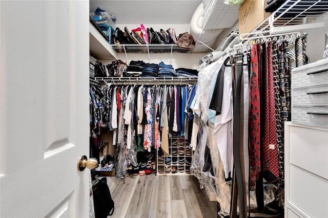 walk in closet featuring wood finished floors