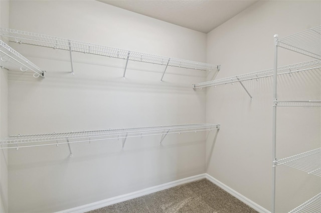 6690 Wake St, Saint Cloud, FL 34771 - photo 31