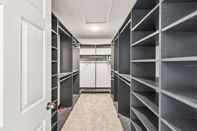 4950 Chase Ct, Saint Cloud, FL 34772 - view of walk in closet