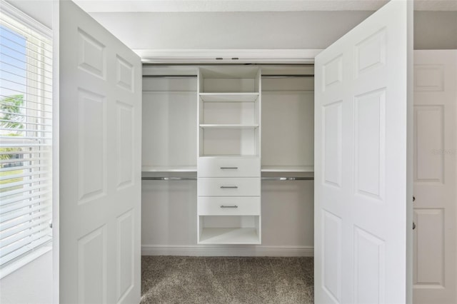 4950 Chase Ct, Saint Cloud, FL 34772 - view of closet