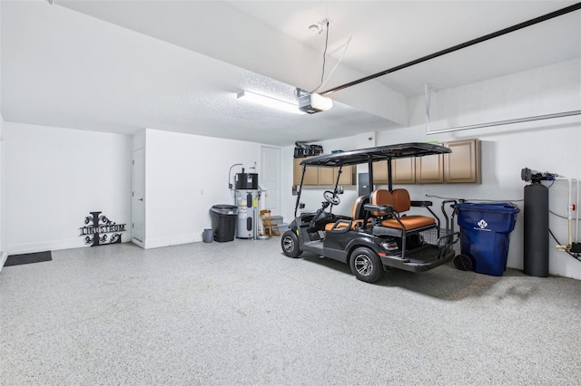 31510 Cabana Rye Ave, San Antonio, FL 33576 - garage with a garage door opener and heat pump water heater