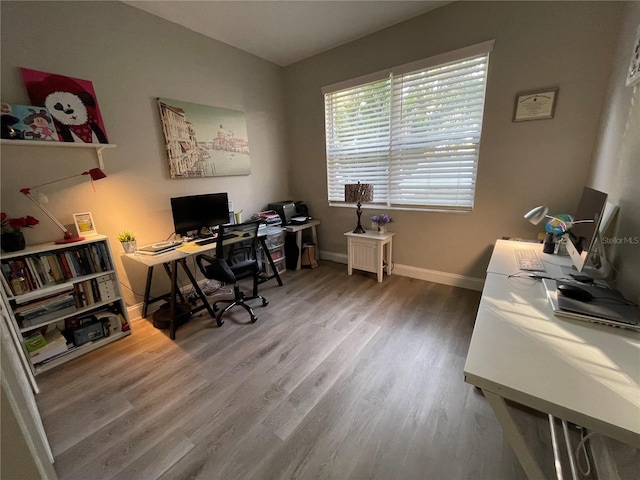 18108 Ashton Park Way, Tampa, FL 33647 - photo 19