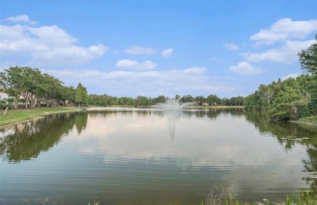18108 Ashton Park Way, Tampa, FL 33647 - photo 36