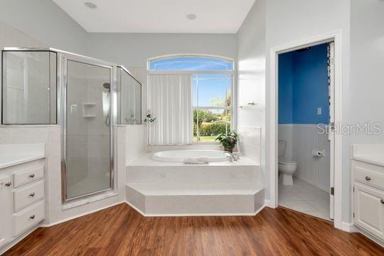 bathroom featuring vanity, toilet, a stall shower, and a bath