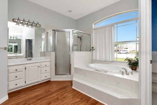 bathroom featuring plenty of natural light, a shower stall, vanity, and a garden tub