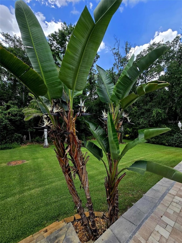 10305 Worthy Lamb Way, New Port Richey, FL 34654 - photo 60