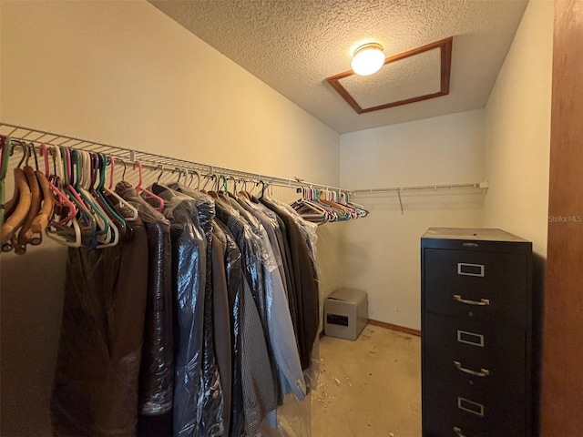 2995 N Bravo Dr, Beverly Hills, FL 34465 - walk in closet featuring attic access and carpet