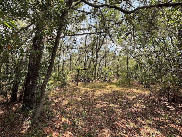 2995 N Bravo Dr, Beverly Hills, FL 34465 - view of woods