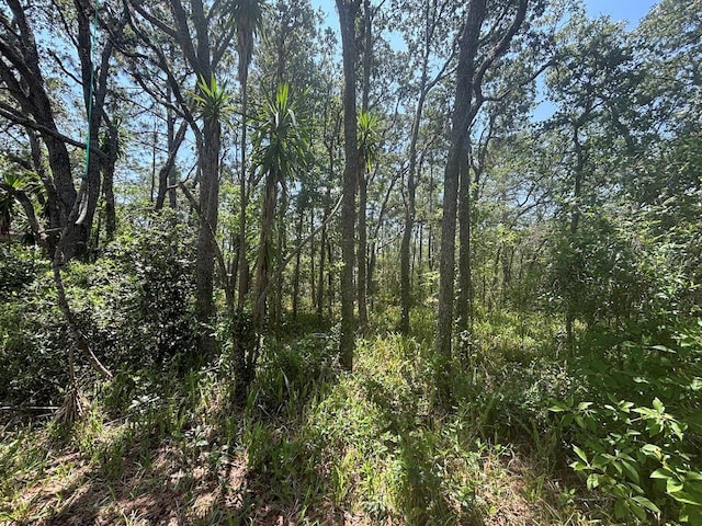 2995 N Bravo Dr, Beverly Hills, FL 34465 - view of nature