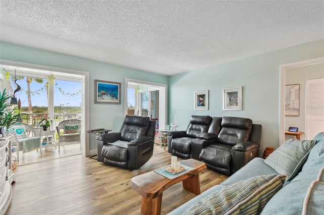 10216 Regal Dr Unit 310, Largo, FL 33774 - living area featuring light wood finished floors and a textured ceiling
