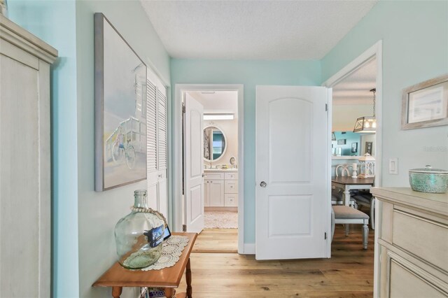 10216 Regal Dr Unit 310, Largo, FL 33774 - hall with light wood-type flooring