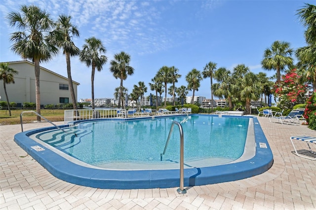 10216 Regal Dr Unit 310, Largo, FL 33774 - view of community pool
