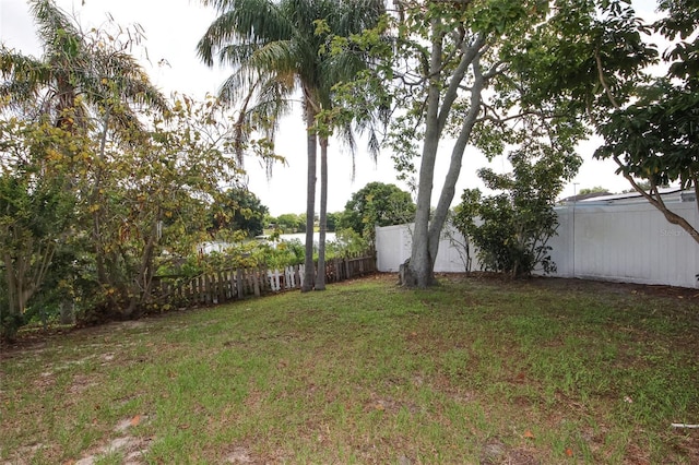 9816 Crofton Ln, Port Richey, FL 34668 - view of yard