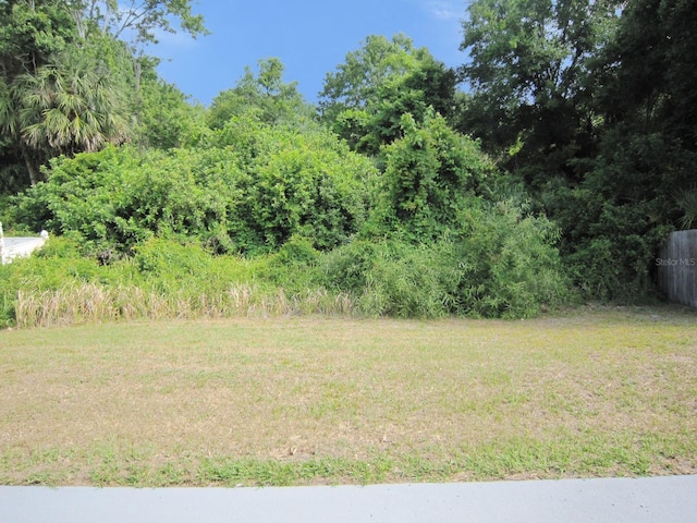 24741 Ravello St, Land O Lakes, FL 34639 - view of green lawn