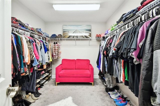 walk in closet featuring carpet flooring