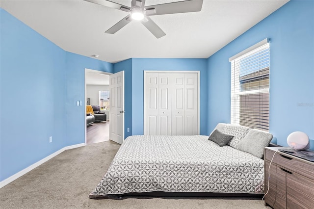 3071 Marine Grass Dr, Wimauma, FL 33598 - bedroom featuring carpet flooring, a closet, baseboards, and multiple windows
