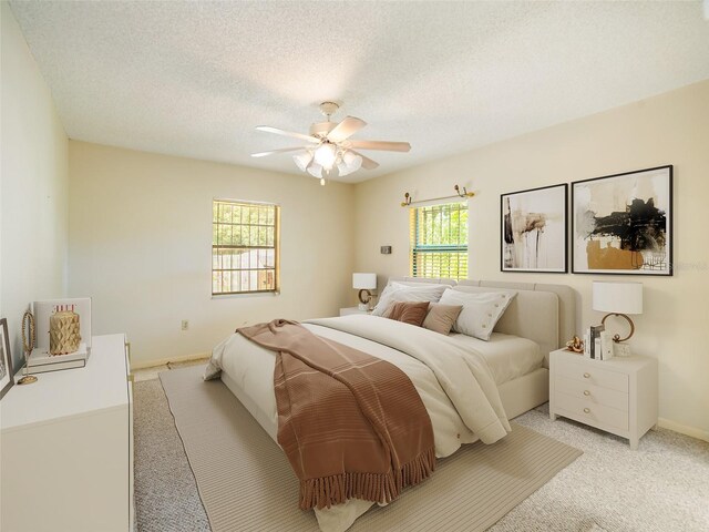6201 Amaretto Ln Unit 6201, Tampa, FL 33634 - photo 16