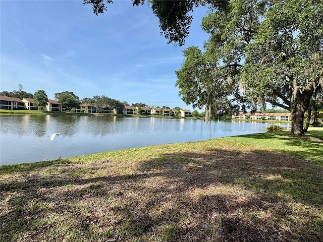 220 Cypress Ln Unit 220, Oldsmar, FL 34677 - water view