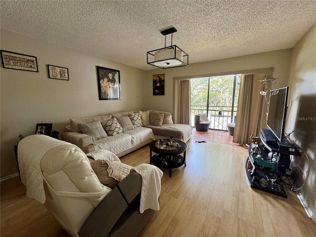 220 Cypress Ln Unit 220, Oldsmar, FL 34677 - living room featuring light wood-type flooring and a textured ceiling