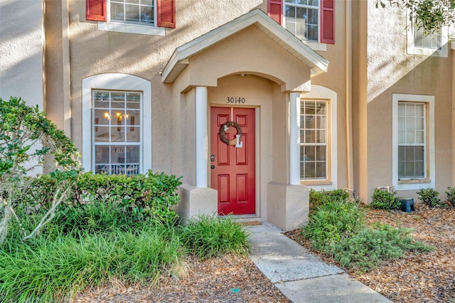 doorway to property featuring stucco siding
