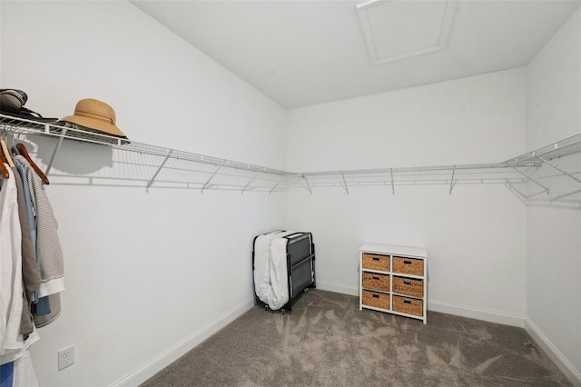 764 W Bayshore Dr, Tarpon Springs, FL 34689 - spacious closet with carpet floors and attic access