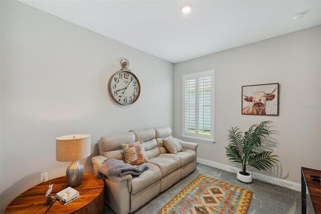 764 W Bayshore Dr, Tarpon Springs, FL 34689 - living room featuring baseboards and carpet flooring