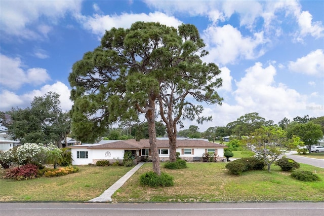 6801 Pinellas Point Dr S, Saint Petersburg, FL 33712 - single story home with a front lawn and stucco siding