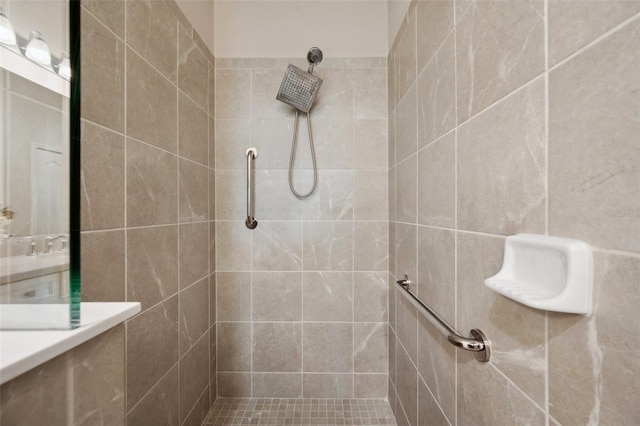 12817 Cobalt Ter, Bradenton, FL 34211 - full bathroom featuring a tile shower and vanity