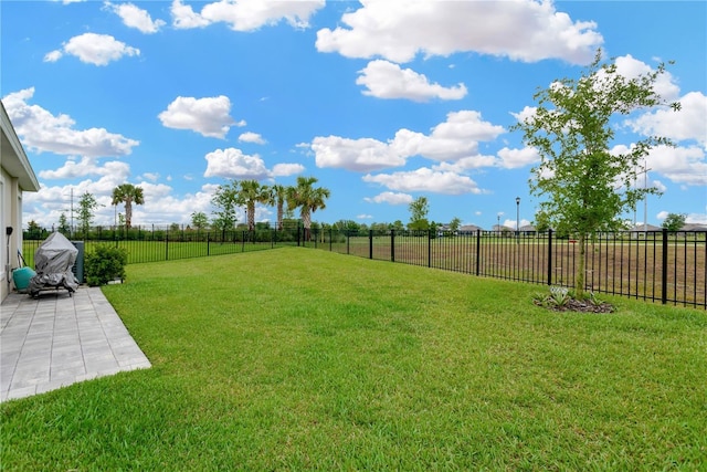 view of yard featuring a patio area