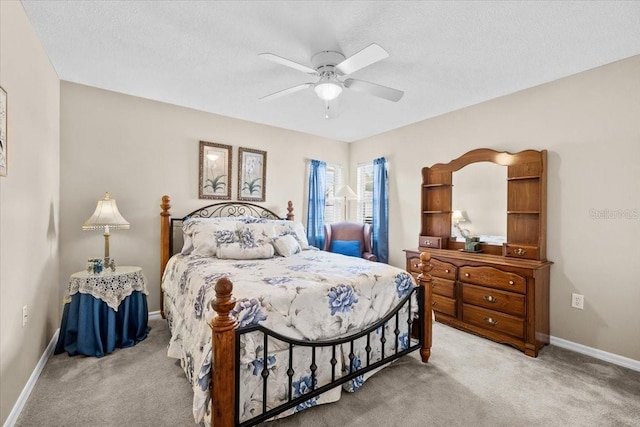 5405 El Cerro Dr, New Port Richey, FL 34655 - photo 22