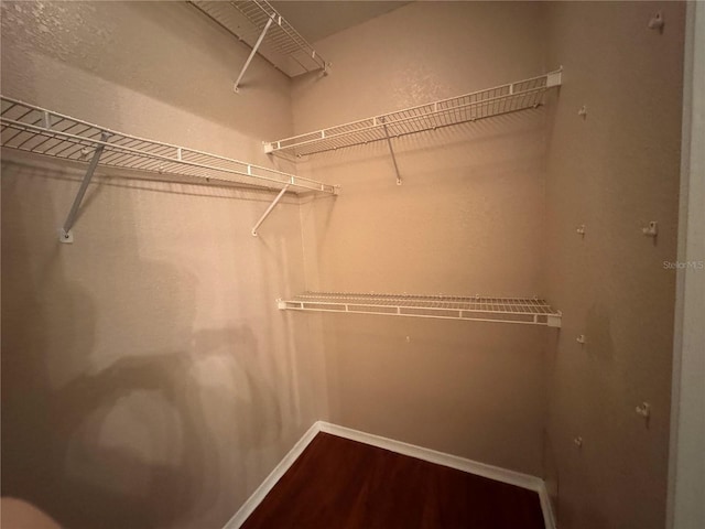 13243 Sanctuary Cove Dr Unit 204, Temple Terrace, FL 33637 - spacious closet with dark wood finished floors