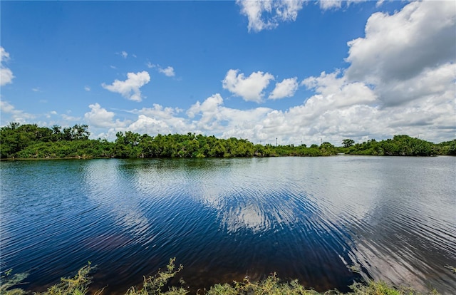 699 Merlins Ct, Tarpon Springs, FL 34689 - water view