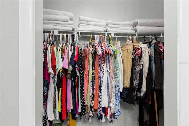 2033 Arbor Dr, Clearwater, FL 33760 - view of closet