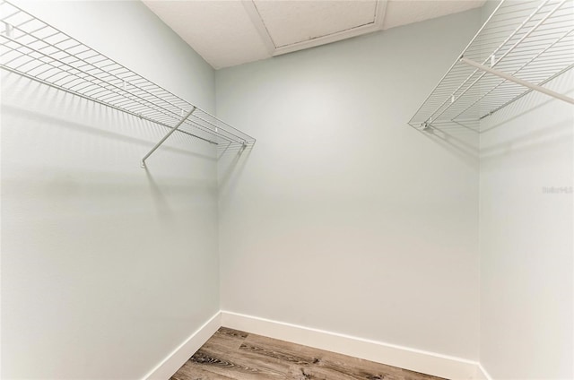 3330 46th Ter E, Bradenton, FL 34203 - walk in closet featuring wood finished floors and attic access