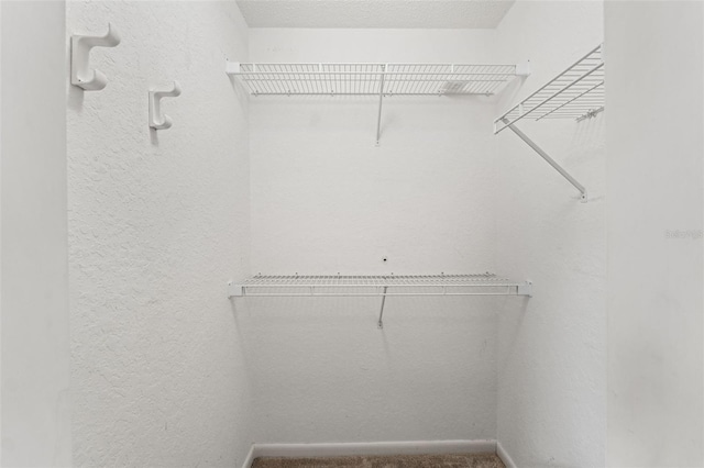 9188 Rhett Ln, Weeki Wachee, FL 34613 - view of spacious closet
