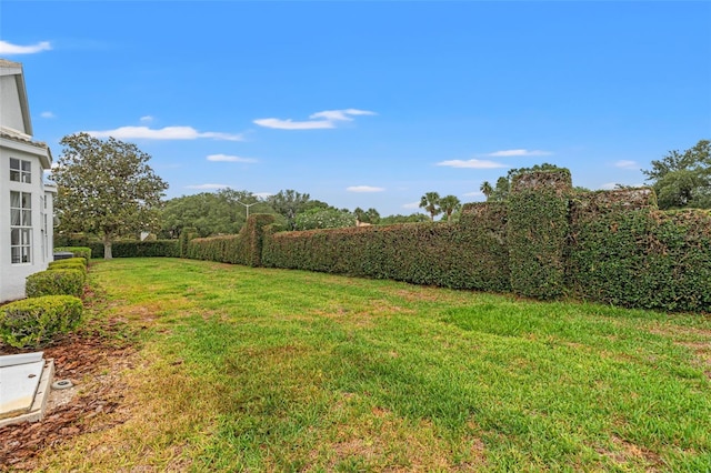 9188 Rhett Ln, Weeki Wachee, FL 34613 - view of grassy yard