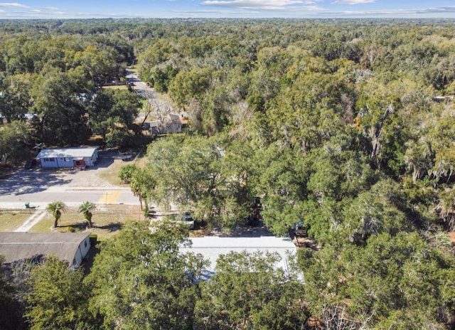 404 Jackson St, Wildwood, FL 34785 - photo 47