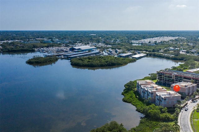2750 Reserve Ct Unit 101, Dunedin, FL 34698 - aerial view of a large body of water