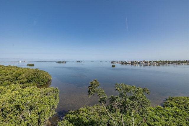 2750 Reserve Ct Unit 101, Dunedin, FL 34698 - water view