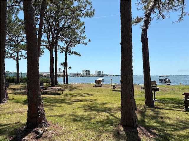 2750 Reserve Ct Unit 101, Dunedin, FL 34698 - view of green lawn featuring a water view