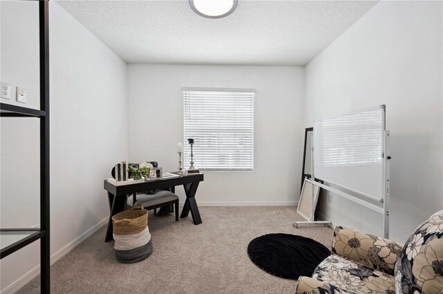 32965 Kaloko Rd, Wesley Chapel, FL 33543 - office area featuring carpet floors, a textured ceiling, and baseboards