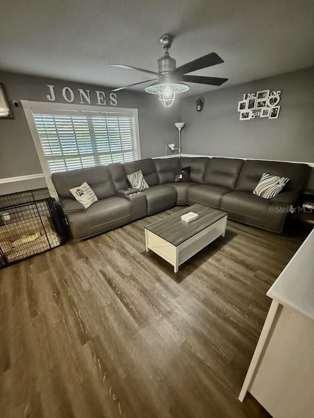 10411 Summerview Cir, Riverview, FL 33578 - living room with a ceiling fan, wood finished floors, and baseboards