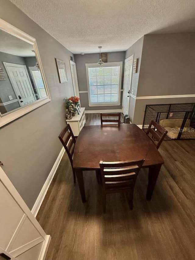 10411 Summerview Cir, Riverview, FL 33578 - dining room featuring wood finished floors, a textured ceiling, and baseboards