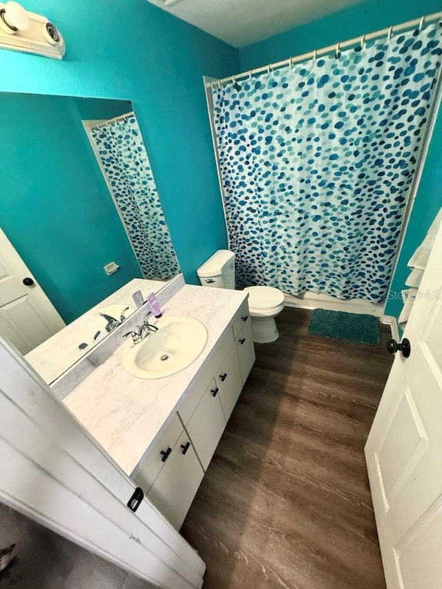 10411 Summerview Cir, Riverview, FL 33578 - bathroom with wood finished floors, vanity, a shower with curtain, and toilet