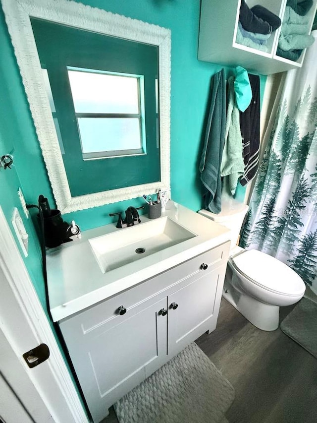 10411 Summerview Cir, Riverview, FL 33578 - bathroom featuring vanity, wood finished floors, and toilet
