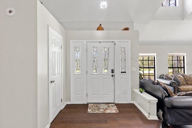 11207 Donneymoor Dr, Riverview, FL 33569 - entryway featuring dark wood-style floors and baseboards